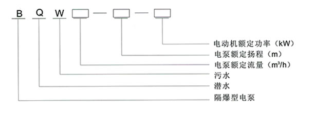 BQW防爆潜水泵 型号说明