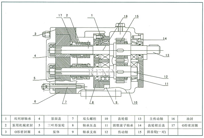 LQ3A型不锈钢转子泵 结构图